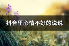 抖音里心情不好的说说(共106句)