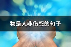 物是人非伤感的句子(共48句)