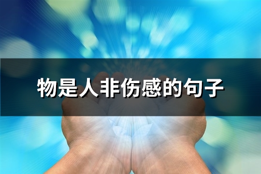 物是人非伤感的句子(共48句)