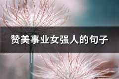 赞美事业女强人的句子(共75句)
