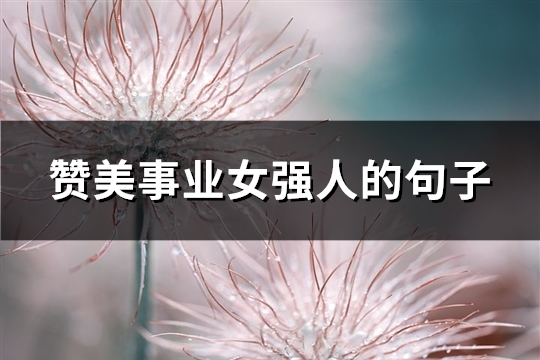赞美事业女强人的句子(共75句)