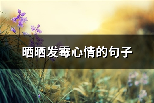 晒晒发霉心情的句子(53句)