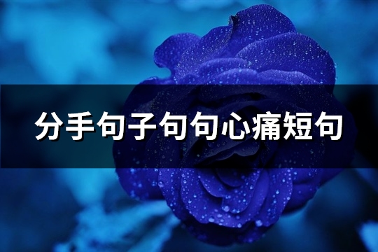 分手句子句句心痛短句(精选89句)