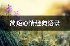 简短心情经典语录(优选65句)