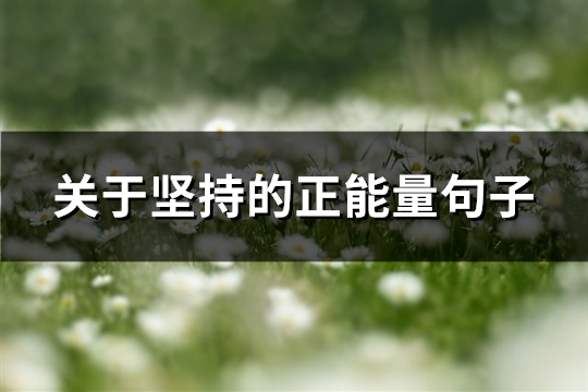 关于坚持的正能量句子(共81句)