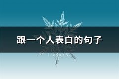 跟一个人表白的句子(共62句)