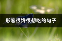 形容很馋很想吃的句子(共95句)