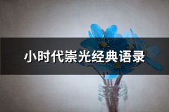 小时代崇光经典语录(61句)