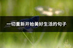 一切重新开始美好生活的句子(优选100句)