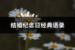 结婚纪念日经典语录(优选85句)