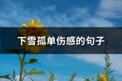 下雪孤单伤感的句子(共60句)