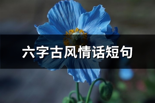 六字古风情话短句(优选28句)
