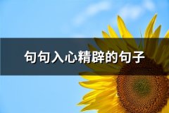 句句入心精辟的句子(共66句)
