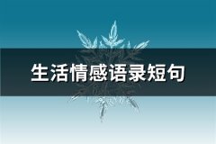 生活情感语录短句(推荐65句)