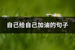自己给自己加油的句子(共65句)