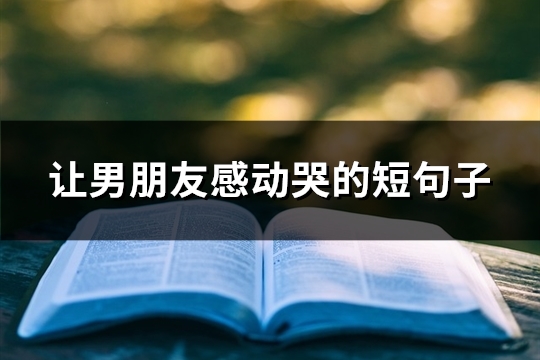 让男朋友感动哭的短句子(82句)