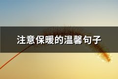 注意保暖的温馨句子(共56句)