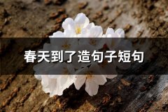 春天到了造句子短句(共72句)