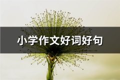 小学作文好词好句(优选64句)