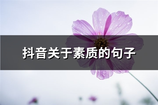 抖音关于素质的句子(共33句) 抖音关于素质的句子(共33句)