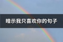 暗示我只喜欢你的句子(35句)