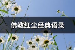 佛教红尘经典语录(推荐86句)