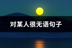 对某人很无语句子(精选31句)