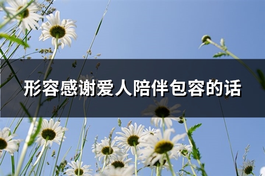 形容感谢爱人陪伴包容的话(共64句)