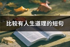 比较有人生道理的短句(共60句)
