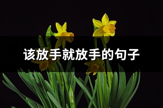 该放手就放手的句子(推荐72句)