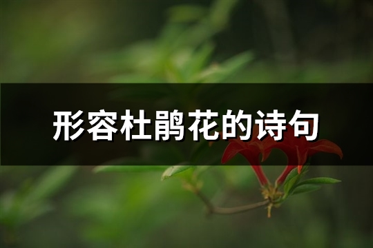 形容杜鹃花的诗句(精选42句)