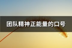 团队精神正能量的口号(优选72句)