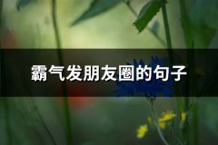 霸气发朋友圈的句子(共79句)