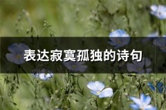 表达寂寞孤独的诗句(71句)