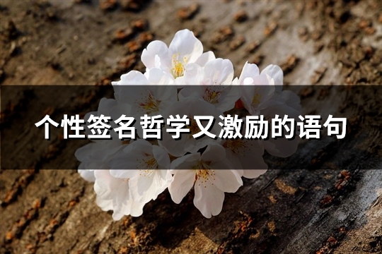 个性签名哲学又激励的语句(优选244句)