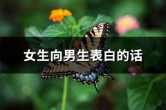 女生向男生表白的话(优选76句)