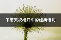 下雨天祝福开车的经典语句(精选51句)