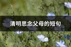 清明思念父母的短句(优选154句)