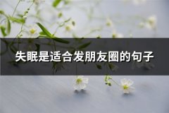 失眠是适合发朋友圈的句子(推荐65句)