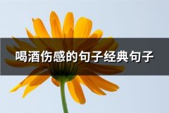 喝酒伤感的句子经典句子(精选71句)