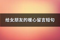 给女朋友的暖心留言短句(共92句)