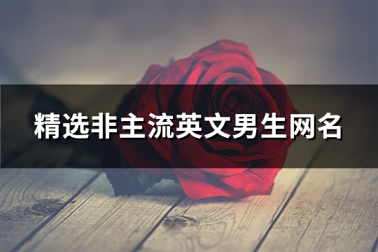 精选非主流英文男生网名(112个) 非主流英文翻译