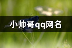 小帅哥qq网名(376个)