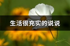 生活很充实的说说(63句)