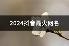 2024抖音最火网名(131个)