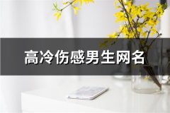高冷伤感男生网名(75个)