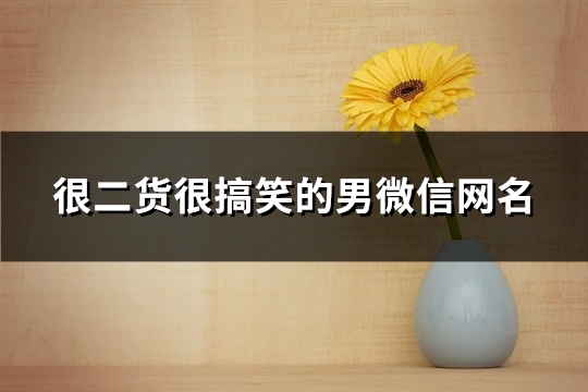 很二货很搞笑的男微信网名(精选73个)