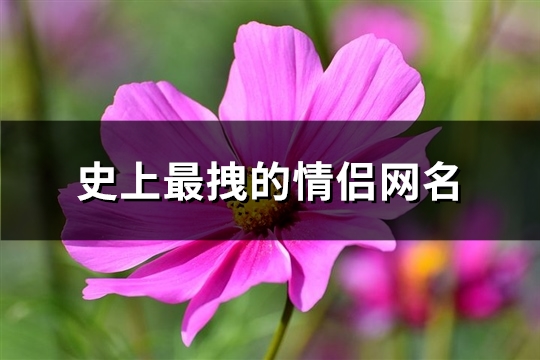 史上最拽的情侣网名(共156个)