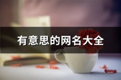 有意思的网名大全(精选75个)