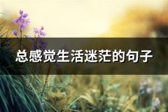 总感觉生活迷茫的句子